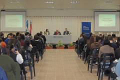 DSCN9536