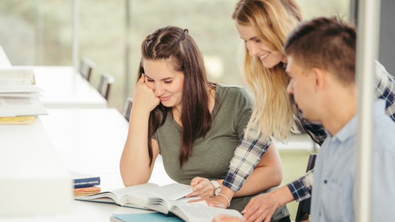 BECAS TUTORES PARES PARA WEB BECAS TUTORES PARES PARA WEB